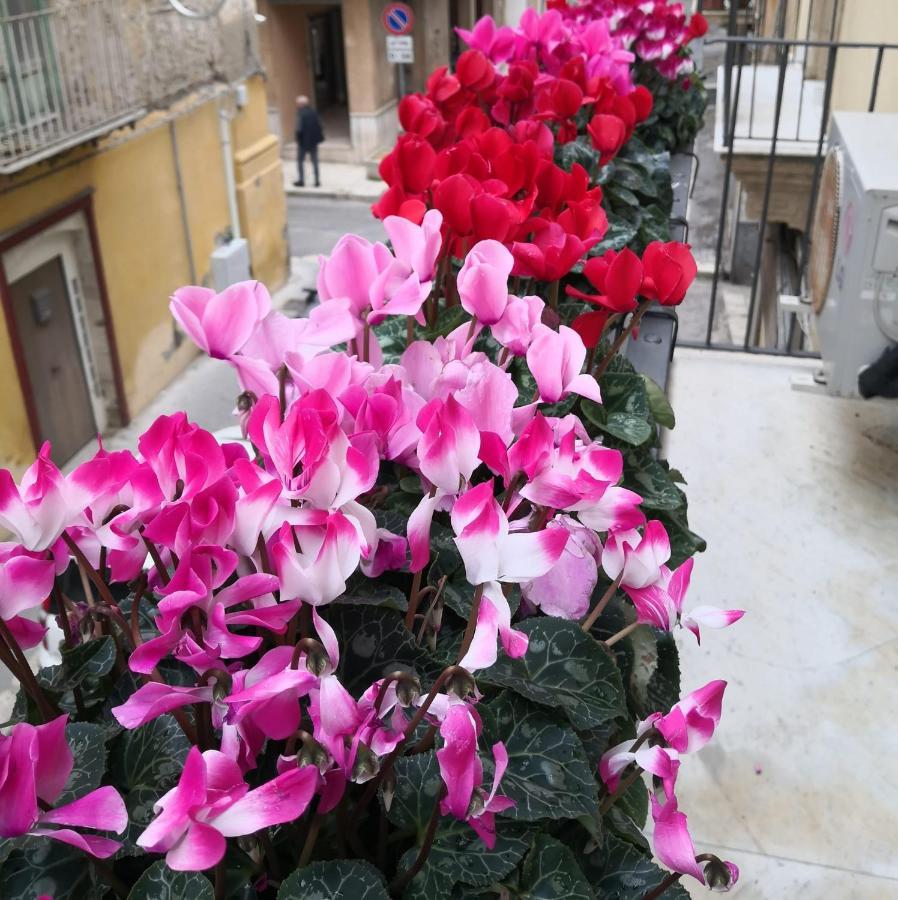 Palazzo Gioffre 杰拉 外观 照片